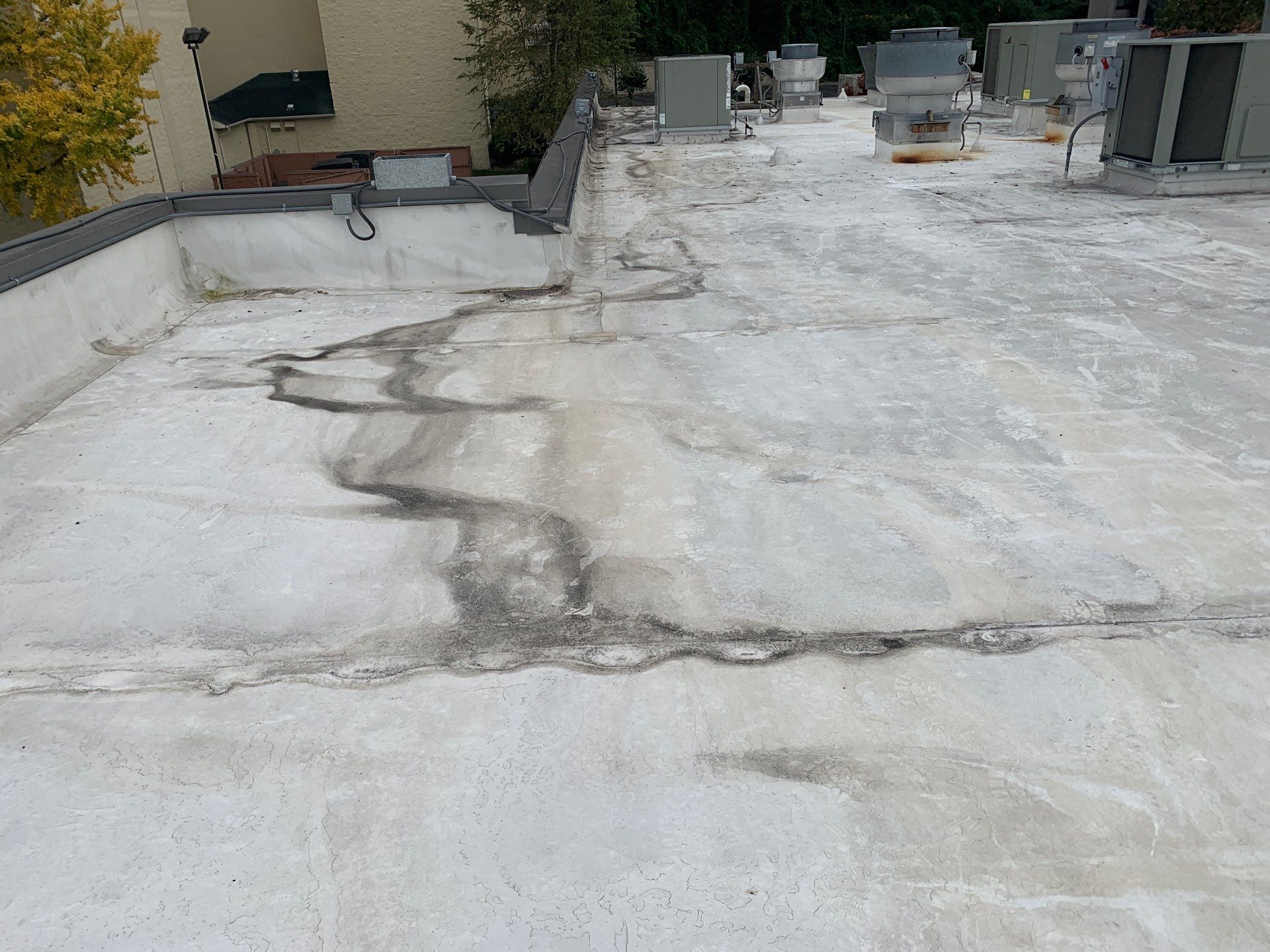 Damage Repair in Charlotte
