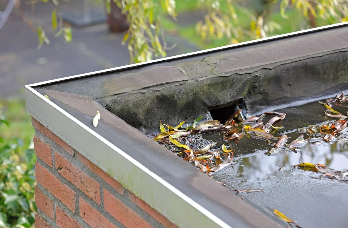 Roof Drain Cleaning and Repair Charlotte NC